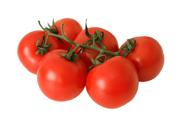 Tomatoo