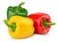 Capsicum