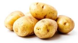 Potato